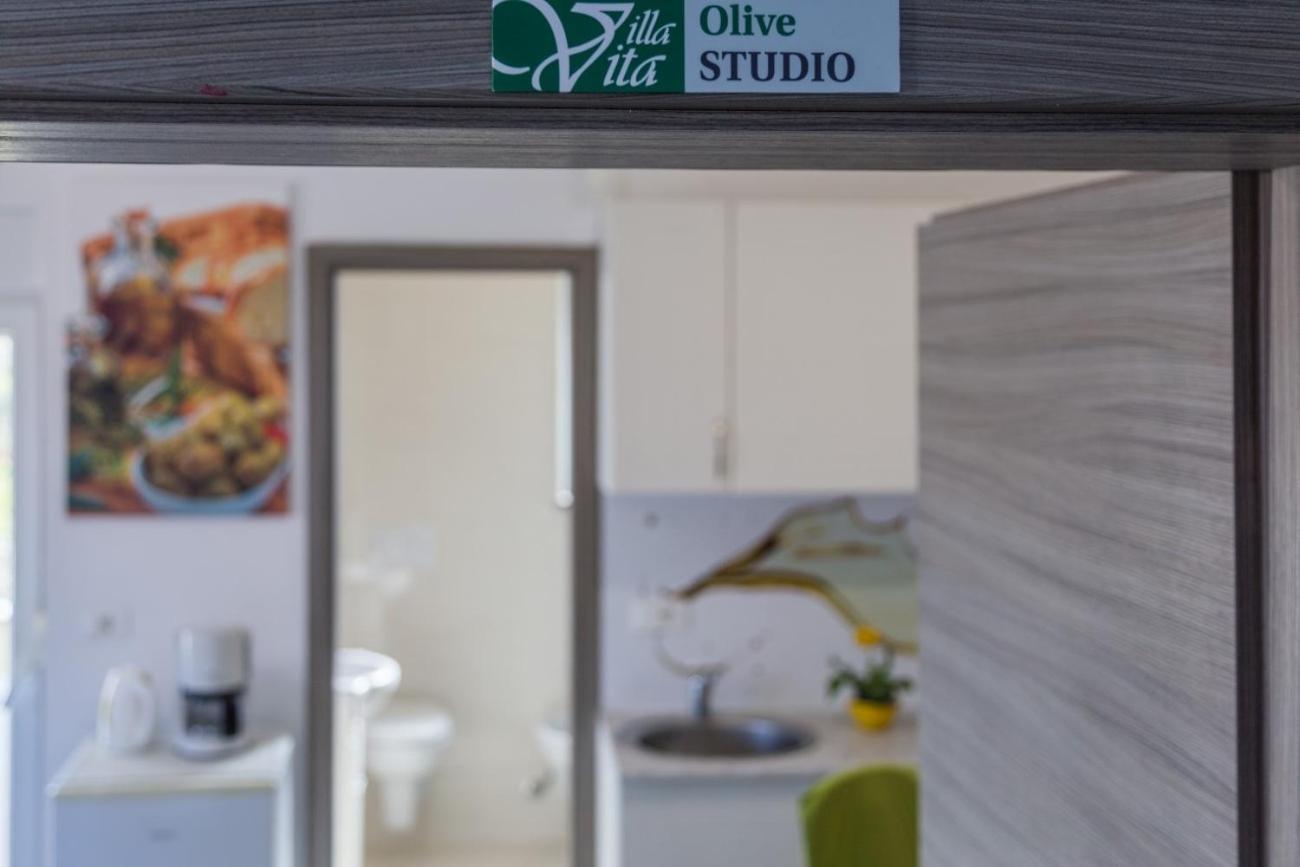 Villa Vita Apartments & Studios With Common Pool Valbandon Extérieur photo